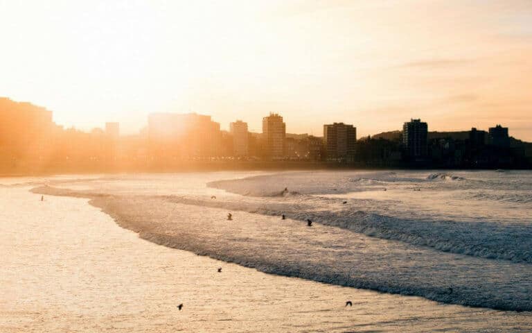 How to Help the Environment and Really Create Change