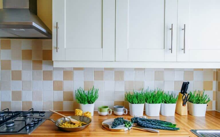 15 Tips to Create an Eco-friendly, Green Kitchen