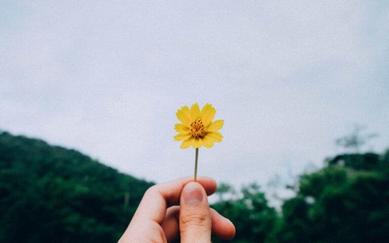 holding flower