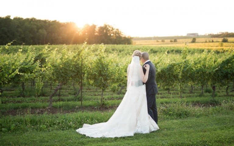 Benefits of Having a Small Wedding – with Vineland Estates Winery
