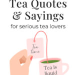100 Inspirational Cup of Tea Quotes and Sayings for serious tea lovers