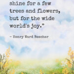 "The sun does not shine for a few trees and flowers, but for the wide world's joy." - Henry Ward Beecher